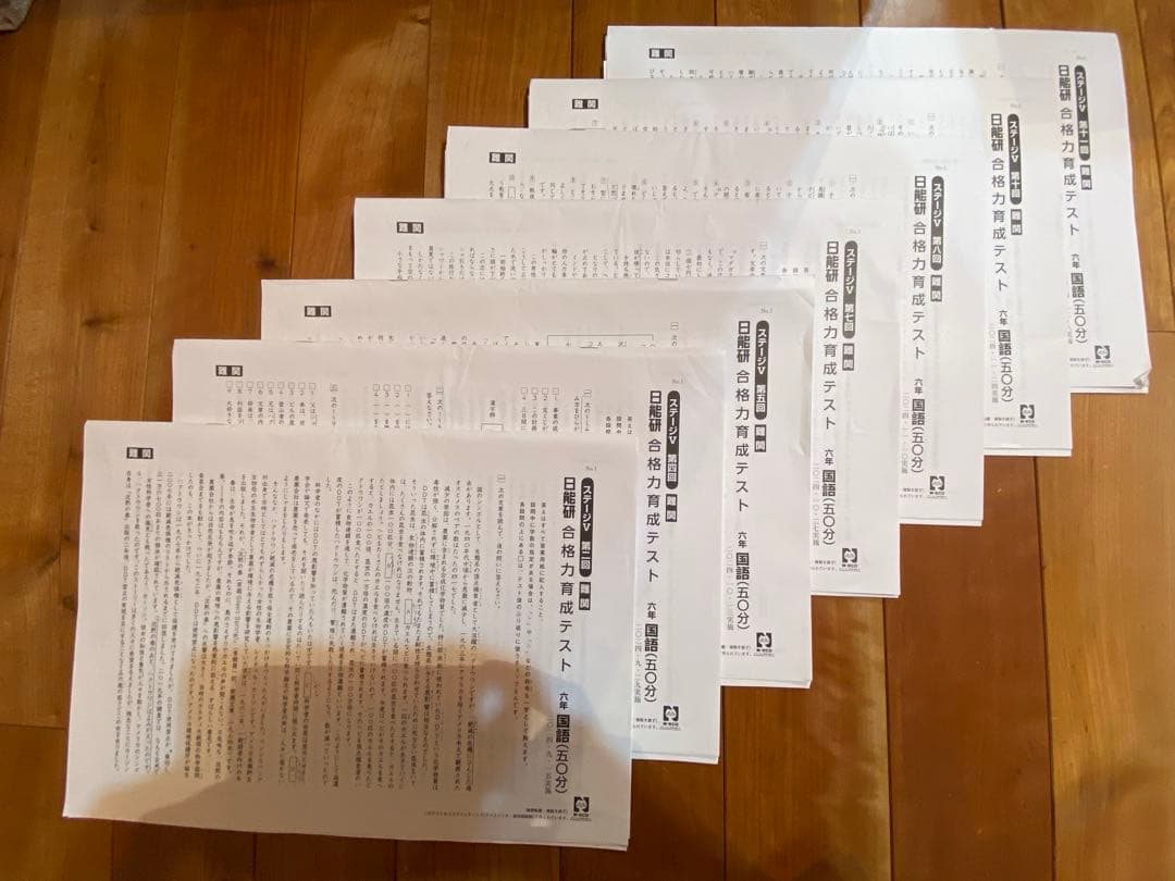 2024年度⭐︎日能研6年生1年フルセット学習力育成テスト全国公開模試等