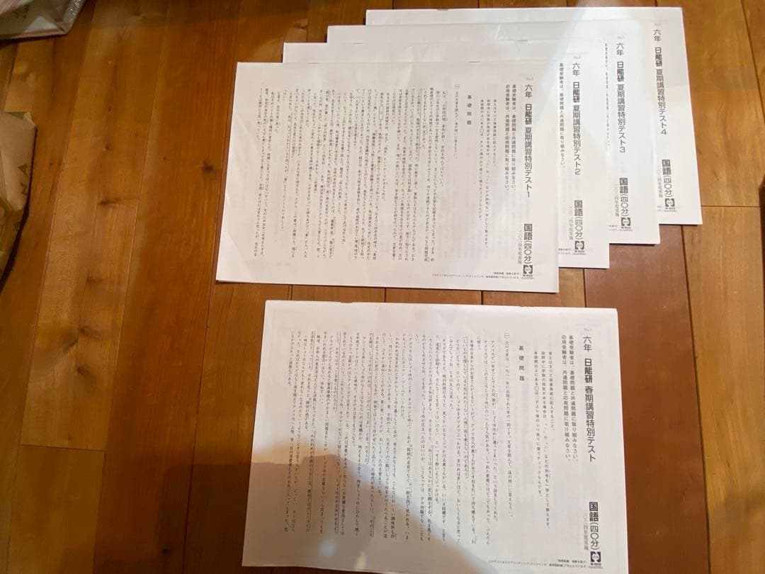 2024年度⭐︎日能研6年生1年フルセット学習力育成テスト全国公開模試等