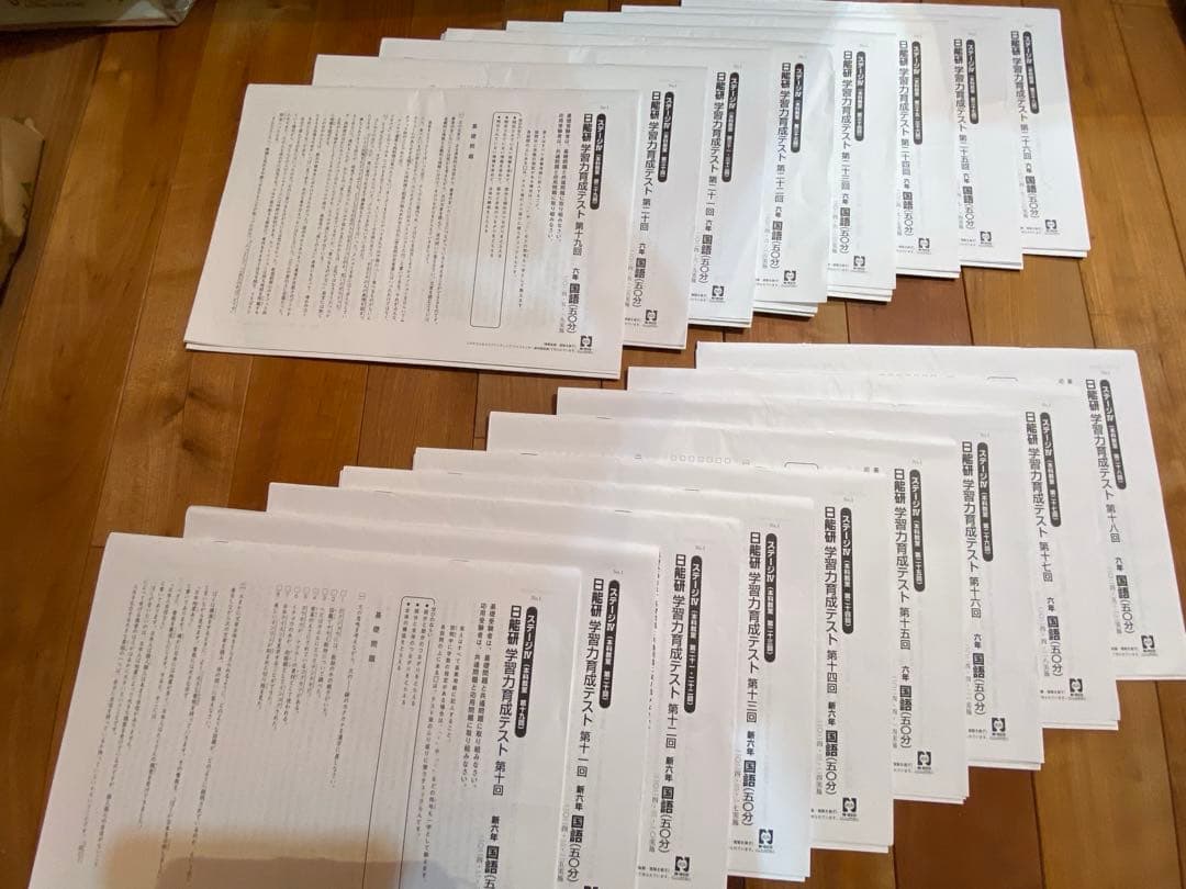 2024年度⭐︎日能研6年生1年フルセット学習力育成テスト全国公開模試等