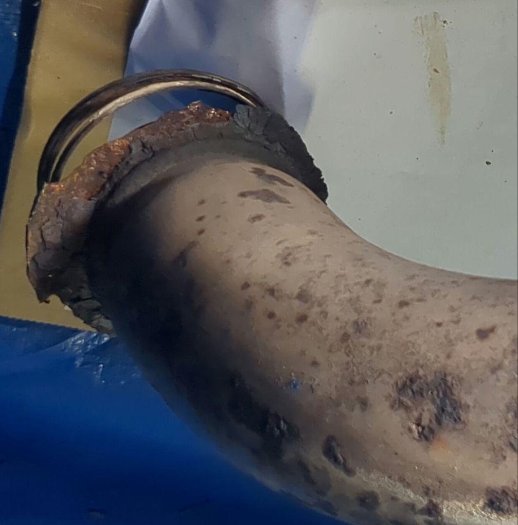 トヨタ純正 中間マフラー 触媒付き SANGO製