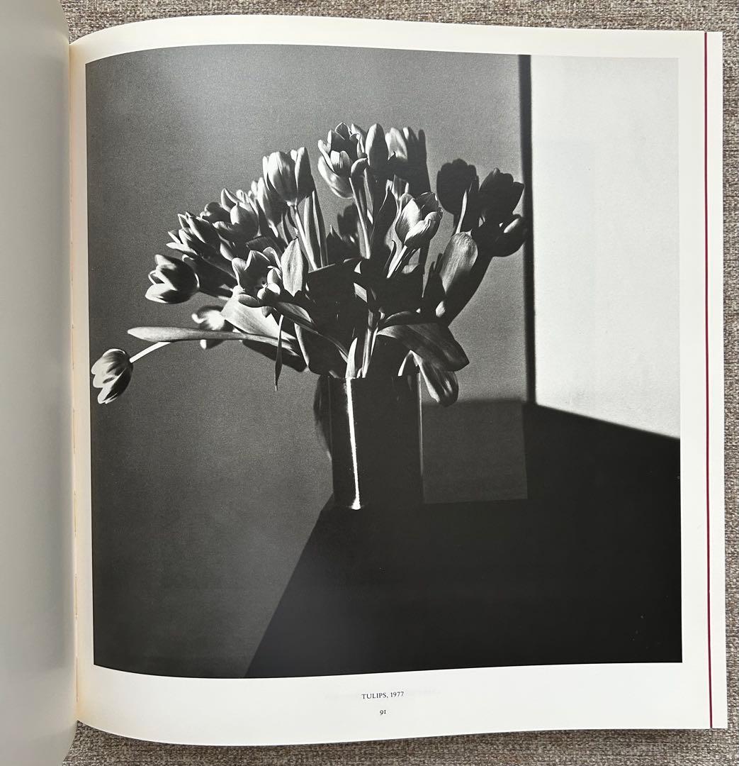 ロバート・メイプルソープMAPPLETHORPE SCHIRMER/MOSEL