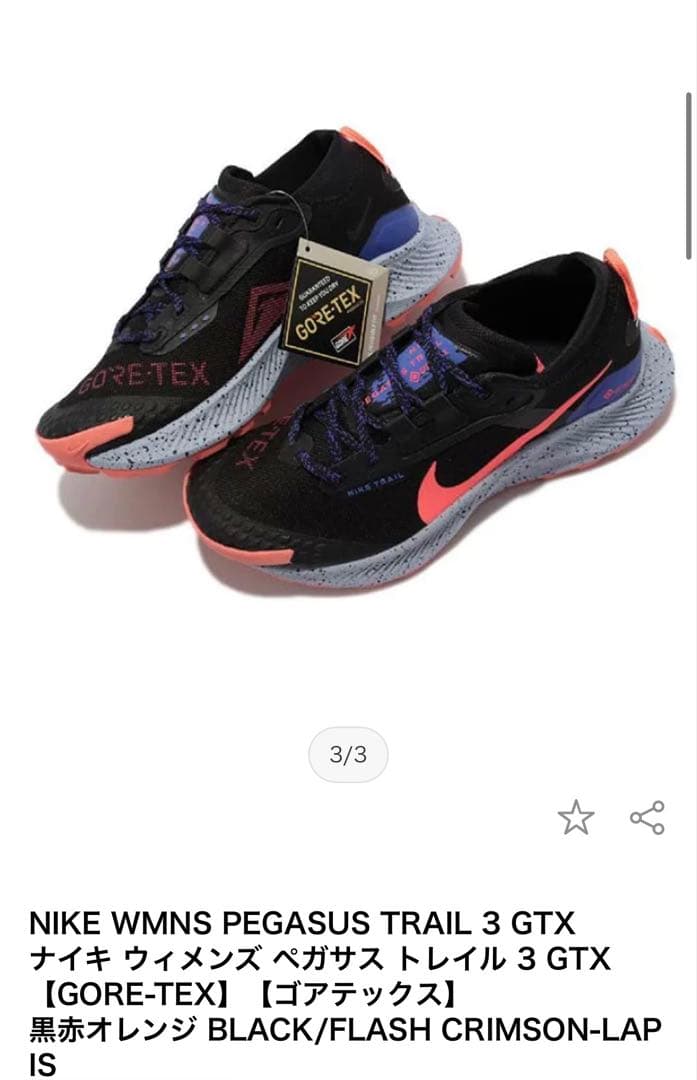 【値段交渉可】ナイキ ペガサス トレイル 3 ゴアテックス