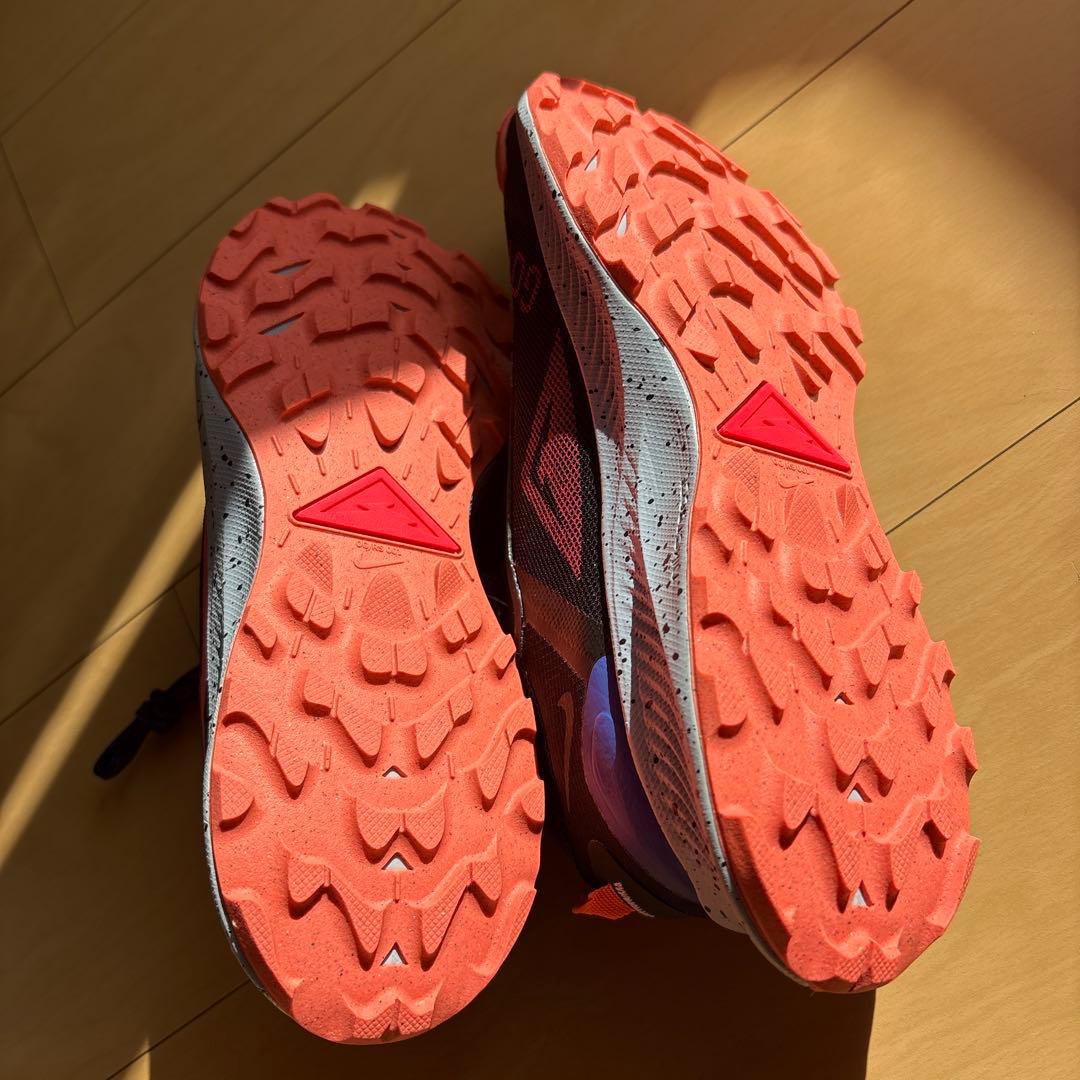 【値段交渉可】ナイキ ペガサス トレイル 3 ゴアテックス