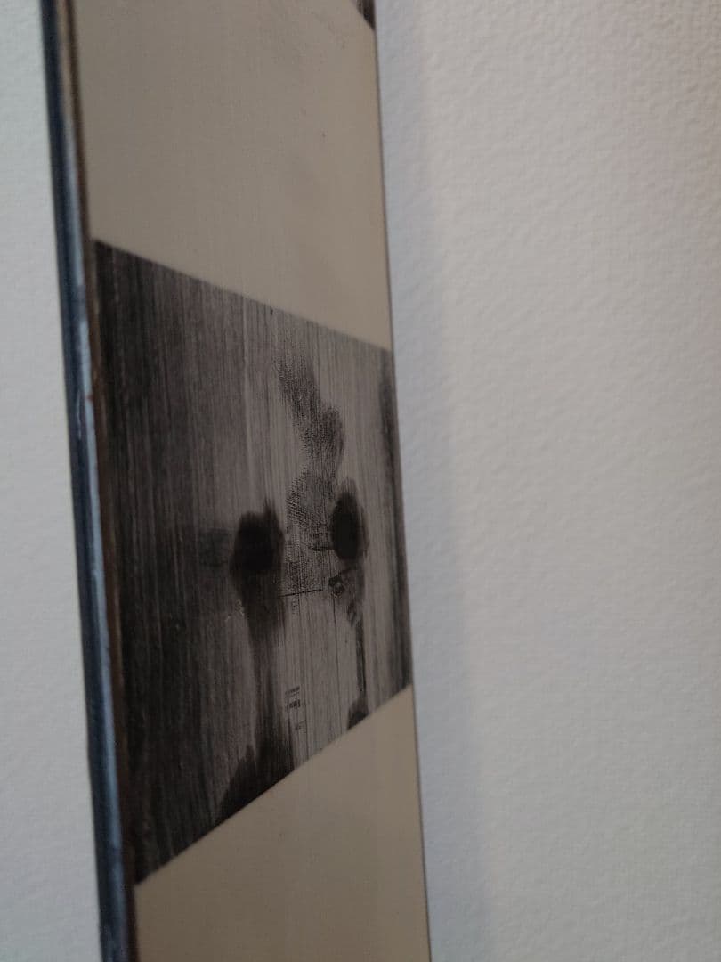 Line ライン Sakana スキー 174cm 板のみ バックカントリー