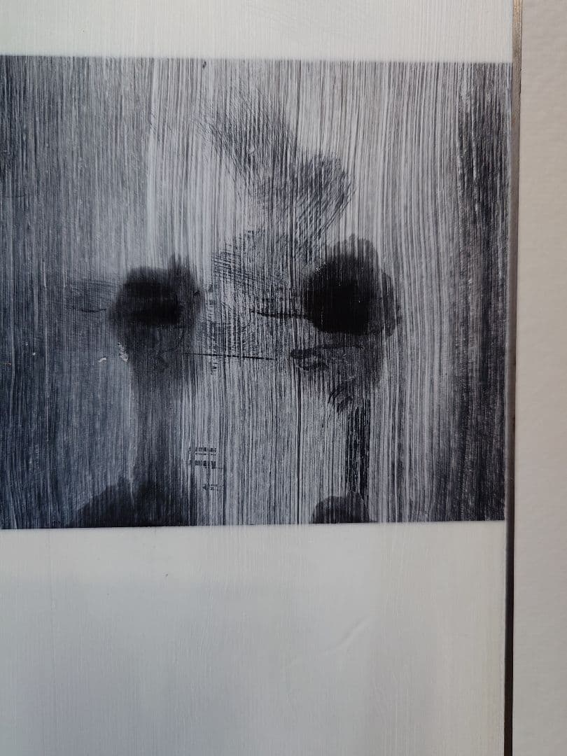 Line ライン Sakana スキー 174cm 板のみ バックカントリー