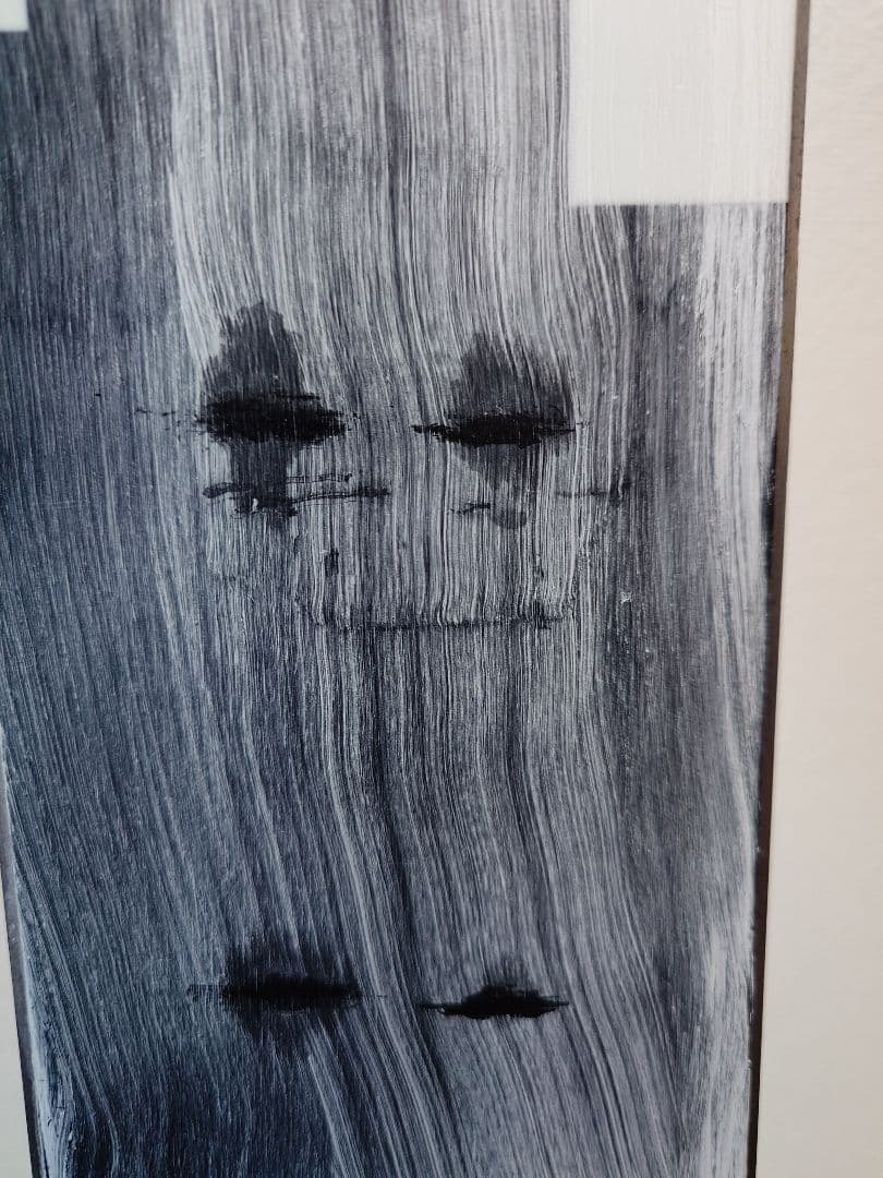 Line ライン Sakana スキー 174cm 板のみ バックカントリー