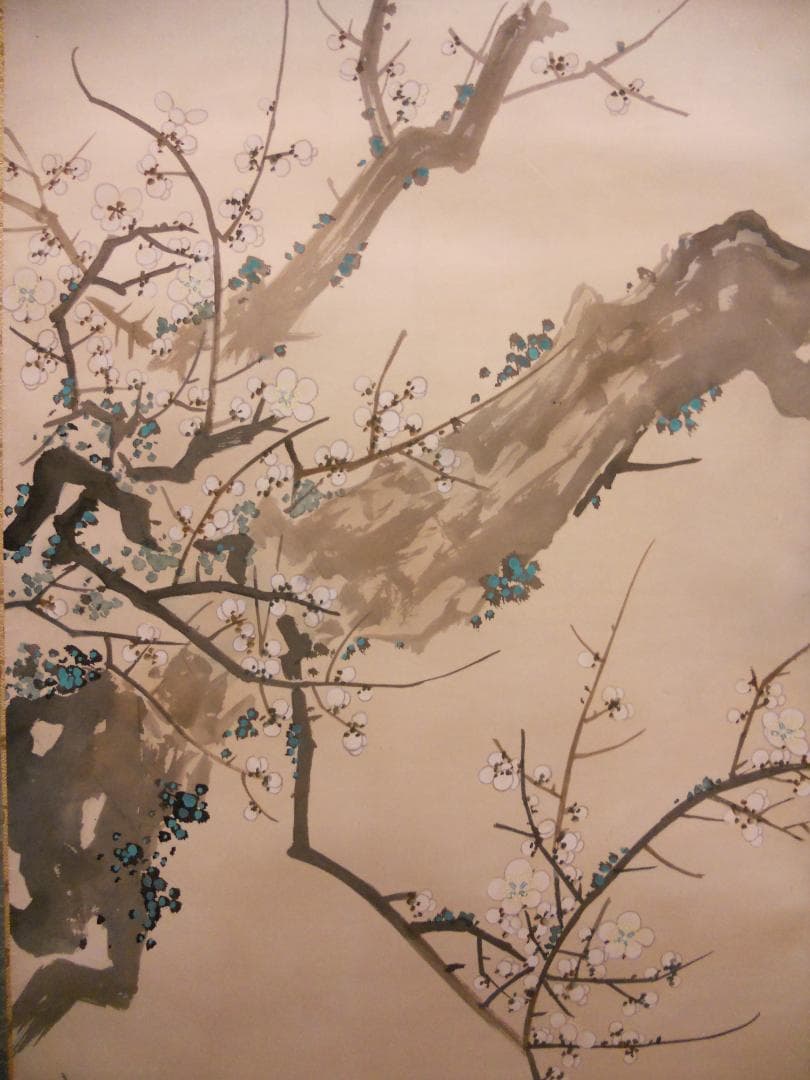 Testudo掛け軸 森山観月 寿龜 寿亀 亀 紙本 希少茶道具掛軸 美品