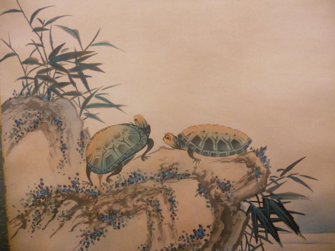 Testudo掛け軸 森山観月 寿龜 寿亀 亀 紙本 希少茶道具掛軸 美品