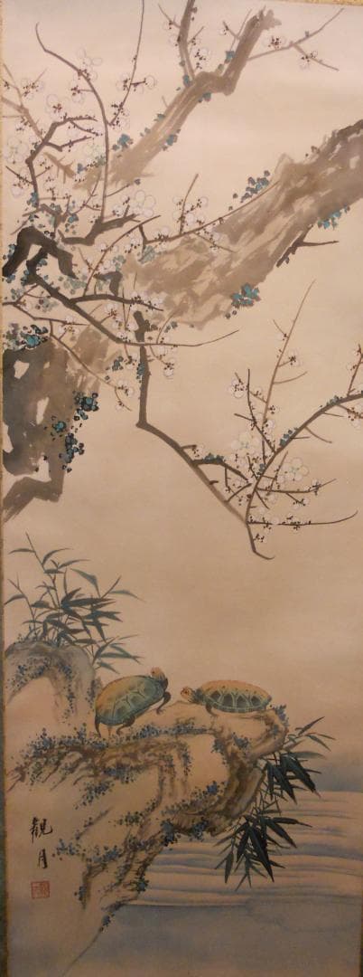 Testudo掛け軸 森山観月 寿龜 寿亀 亀 紙本 希少茶道具掛軸 美品