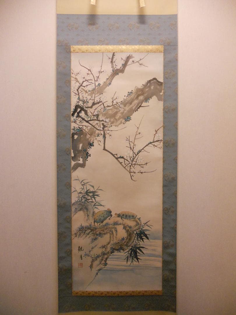 Testudo掛け軸 森山観月 寿龜 寿亀 亀 紙本 希少茶道具掛軸 美品
