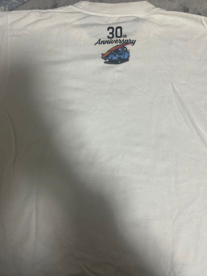 稲村ジェーン　Tシャツ　DVD