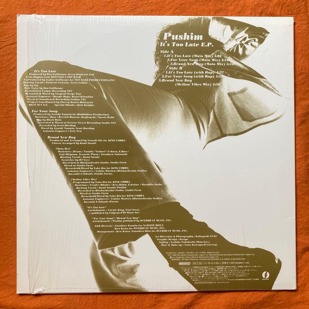 レゲエ　PUSHIM 4枚