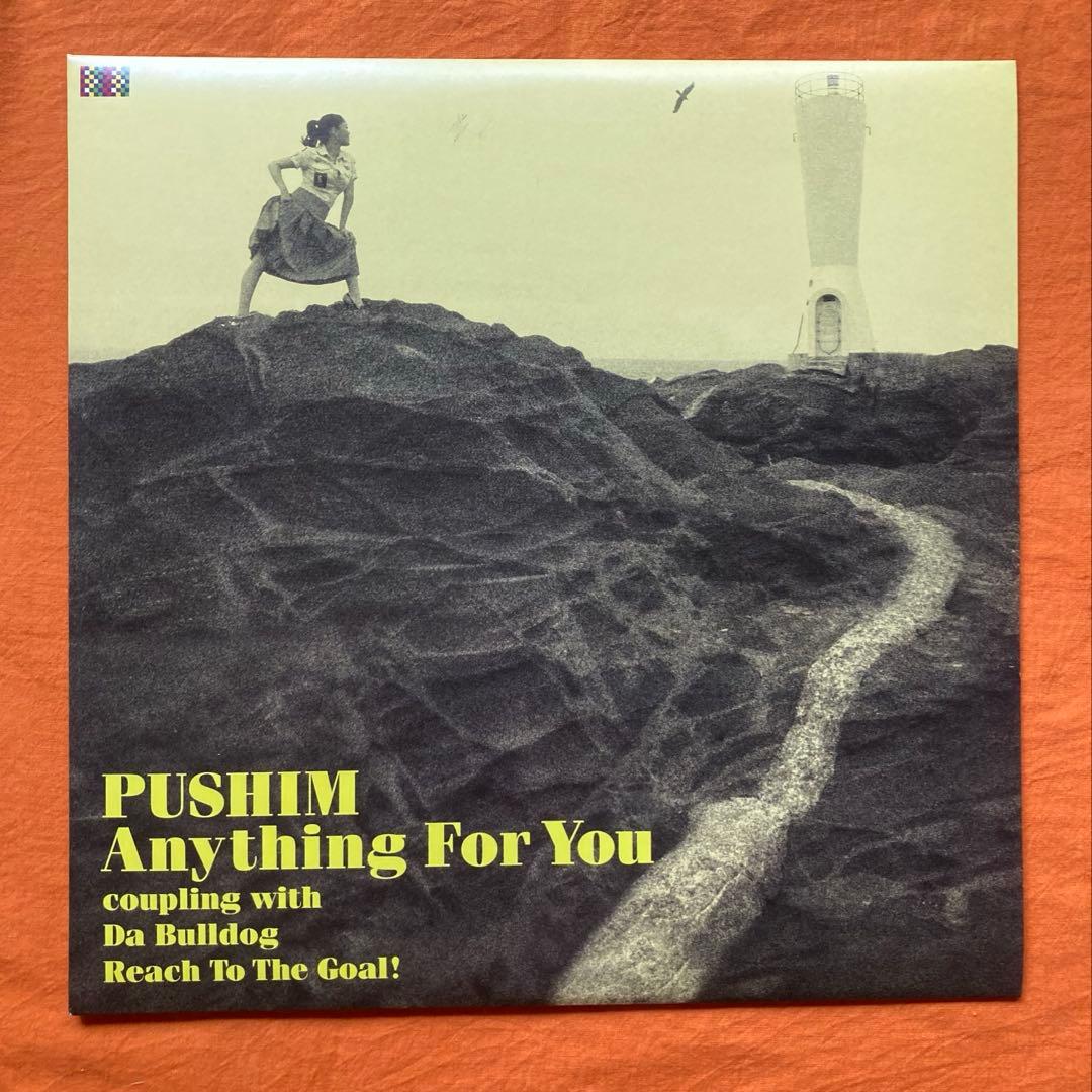 レゲエ　PUSHIM 4枚