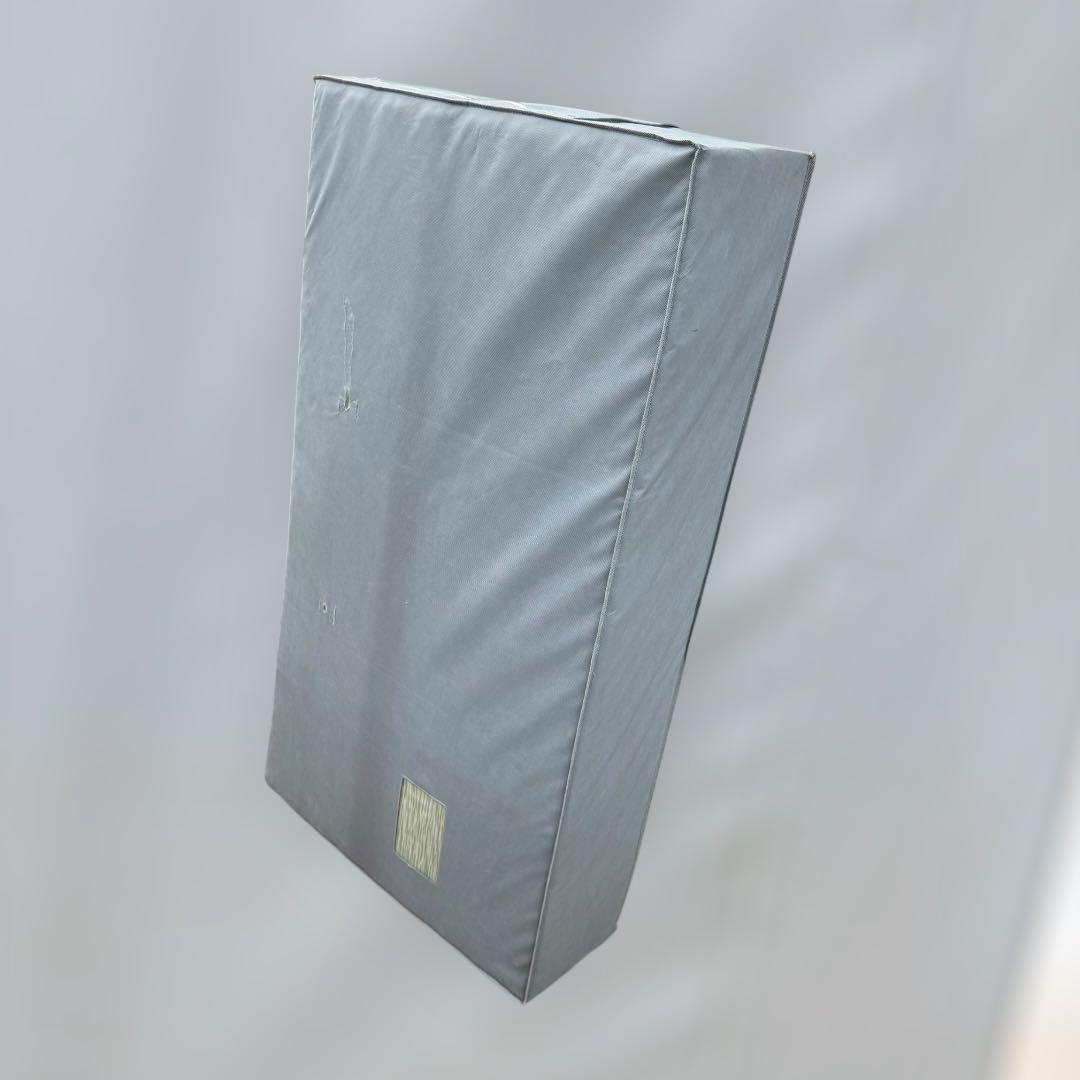 8738.ロマンス小杉 ロマンスエコー マットレス ハード シングル