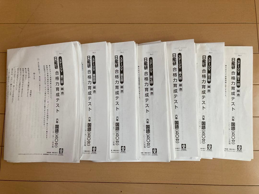 ‼️Mac‼️日能研 6年テスト 2025年度 公開模試 育成 夏春講習