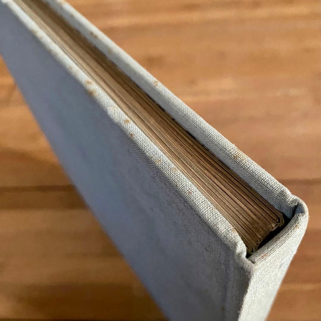 AGREABLE Loulou Picasso ルル・ピカソ 1000冊限定