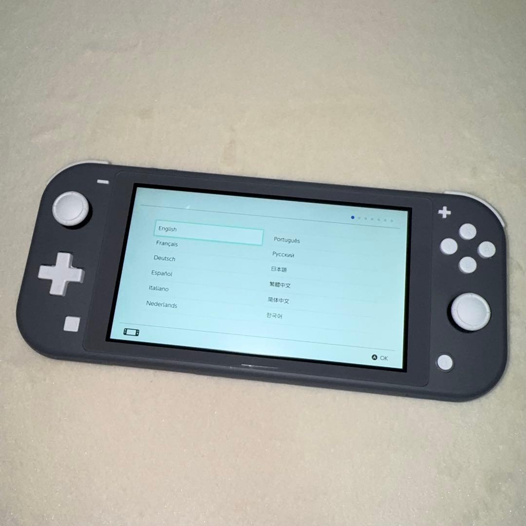 Nintendo Switch Lite 本体グレー＋Splatoon2