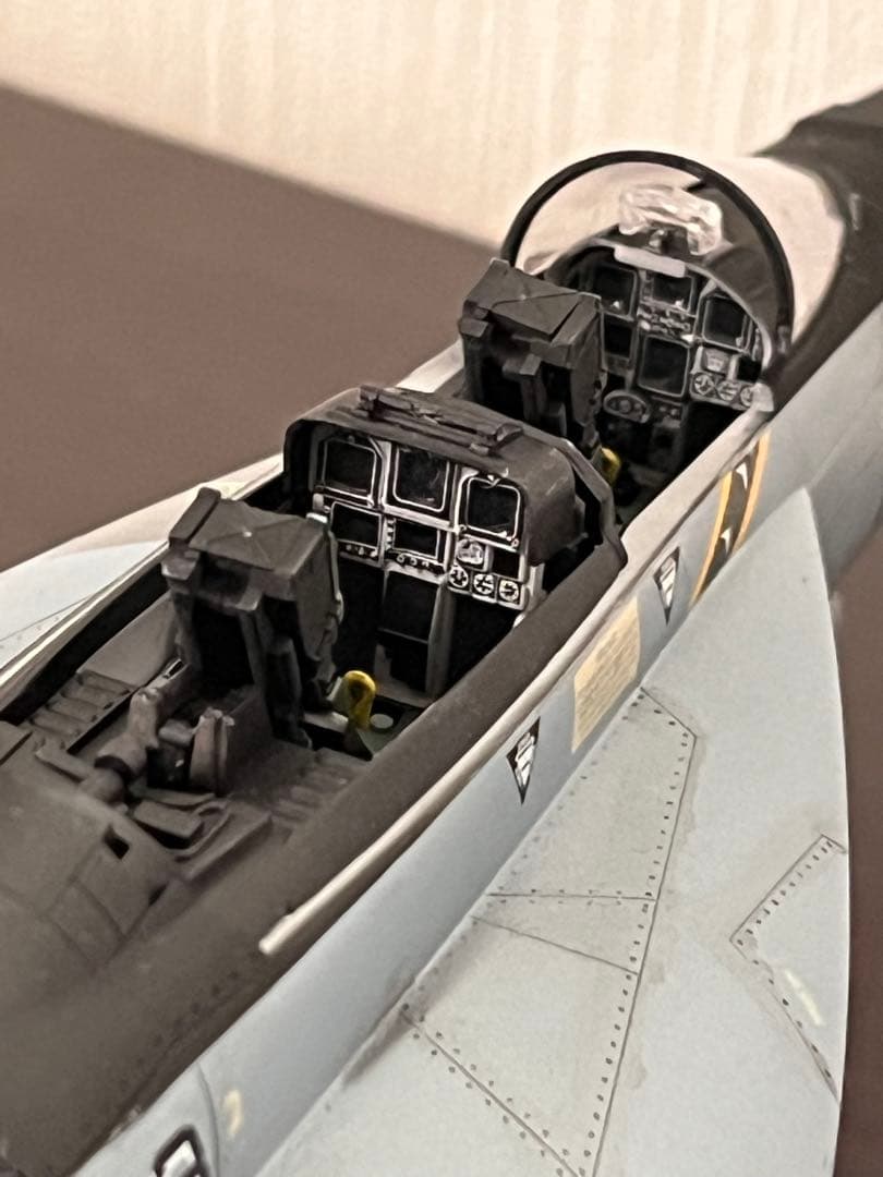 Hasegawa 1/48 F/A-18F SUPER HORNET 完成品