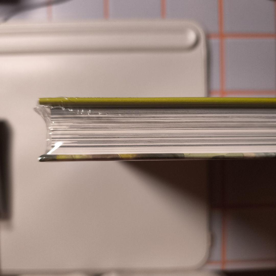 新品未開封 羅小黒戦記 設定資料集 + 番外漫画 中国語版（簡体字）