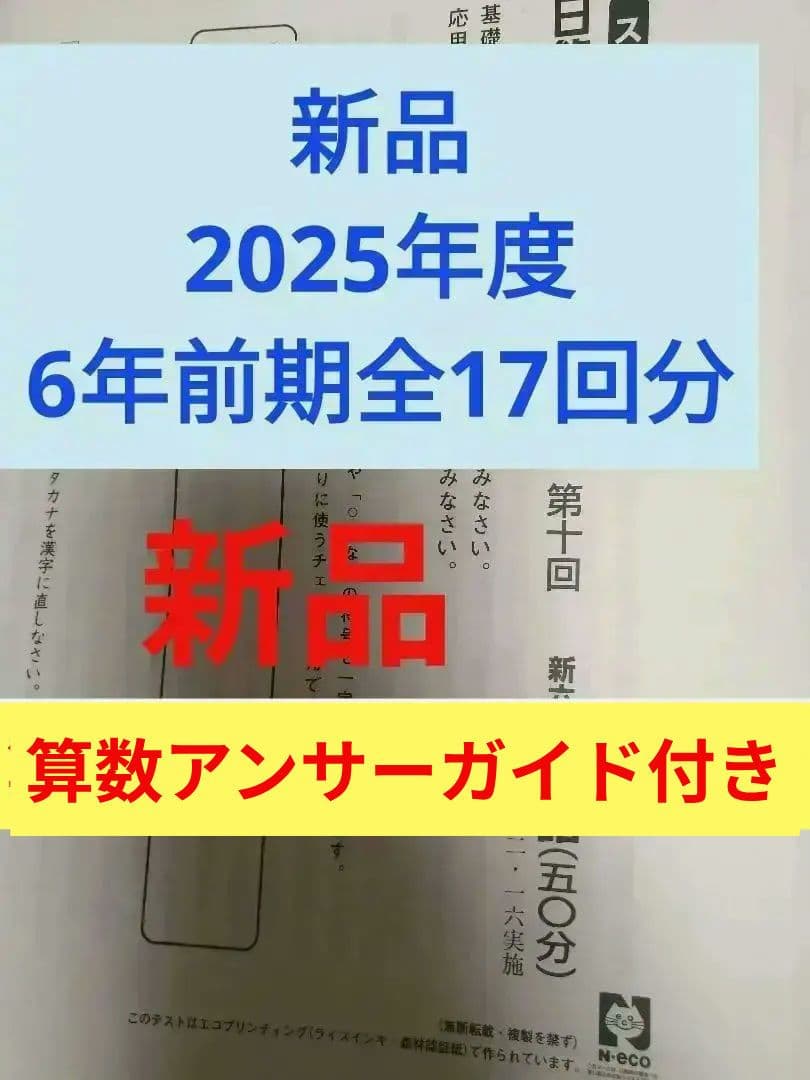 新品 2025年度日能研6年前期学習力育成テスト全17回分