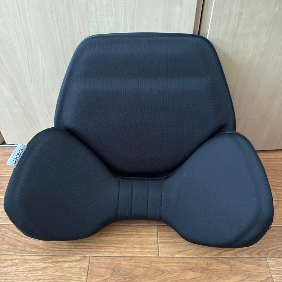 EXGEL ハグドライブバッククッション