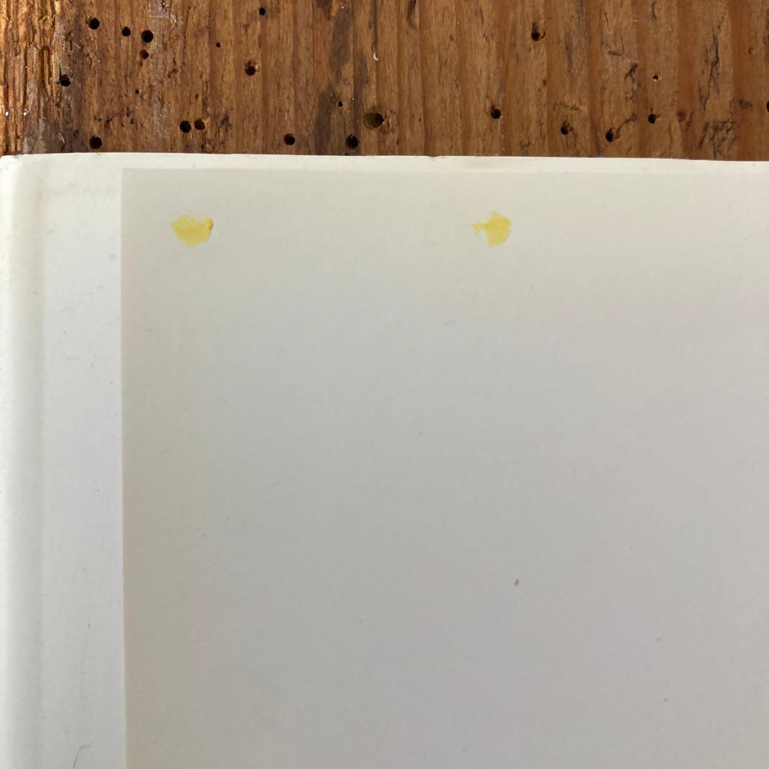 希少池田亮司RYOJIIKEDAdatamatics printed italy