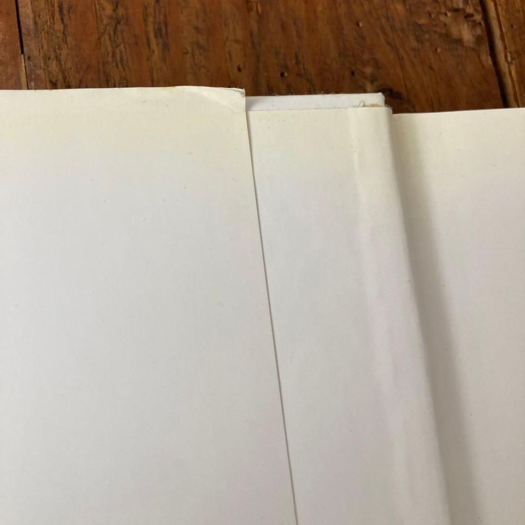 希少池田亮司RYOJIIKEDAdatamatics printed italy