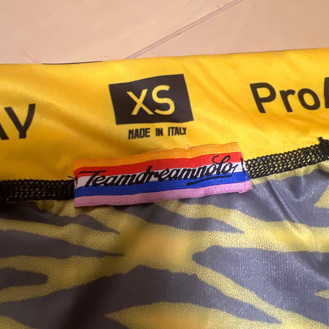 TEAMDREAM bicycling タイガー柄ジレ