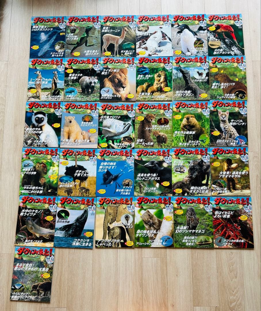 NHKダーウィンが来た! 生きもの新伝説 DVDブック　1～31巻まで
