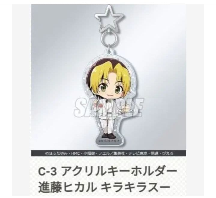 くじ引き堂 ヒカルの碁 アクリルキーホルダー 10種 ヒカル アキラ