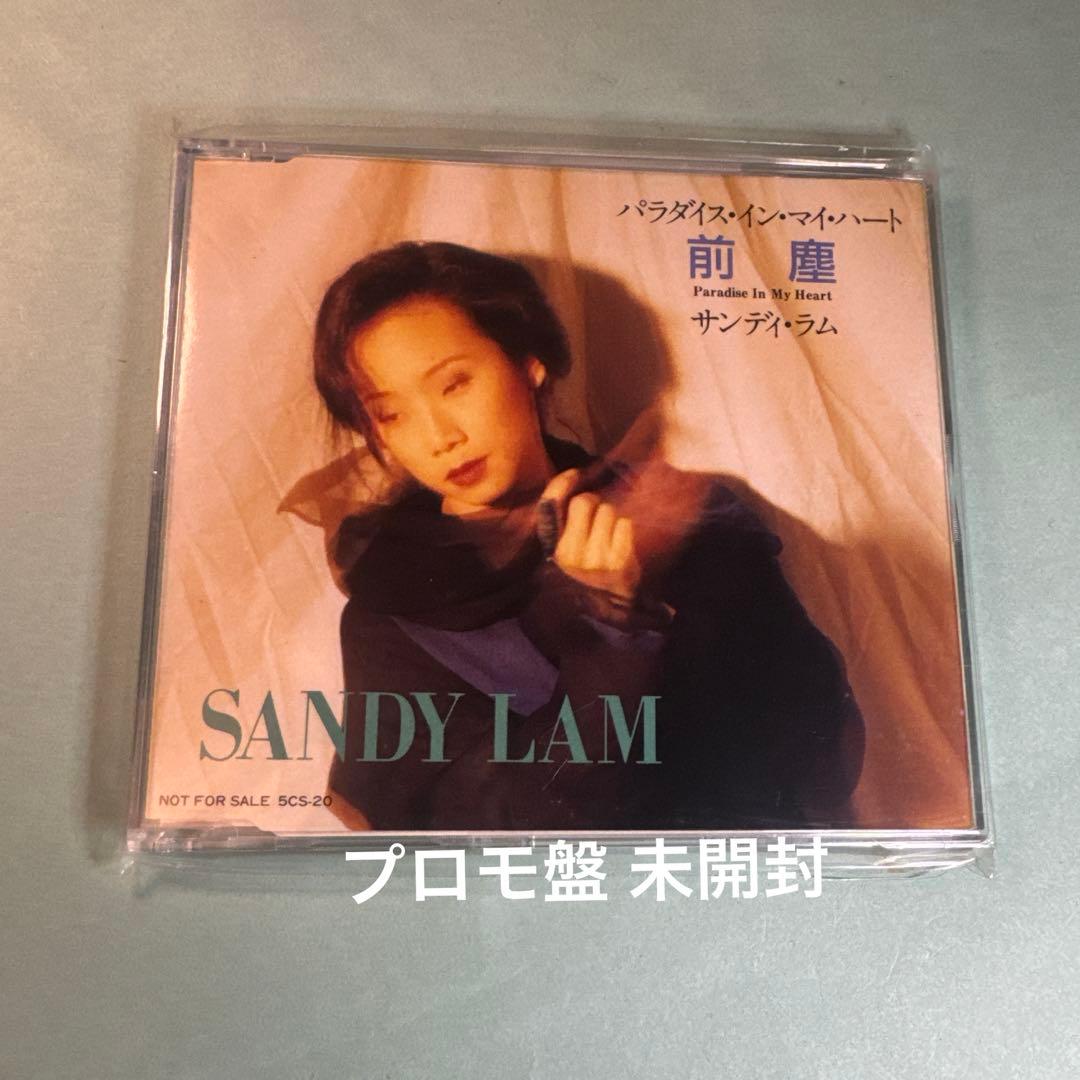 サンディ・ラム SANDY LAM／パラダイス・イン・マイ・ハート
