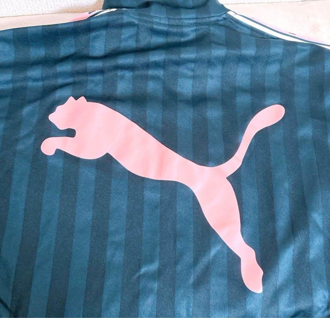 【PUMA】ジャージ　上下　スポーツウェア　ネイビー×ピンク　レディース L相当