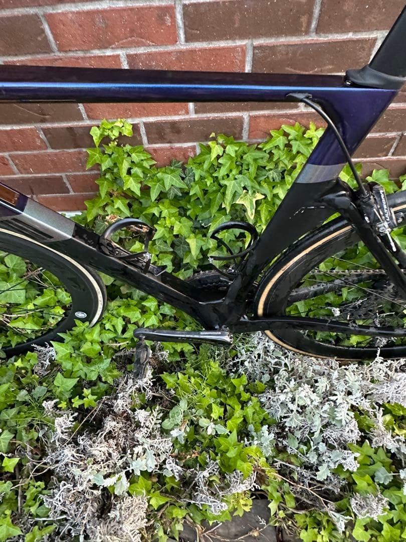 ELEVS FALATH PRO ファラスプロ　完成車