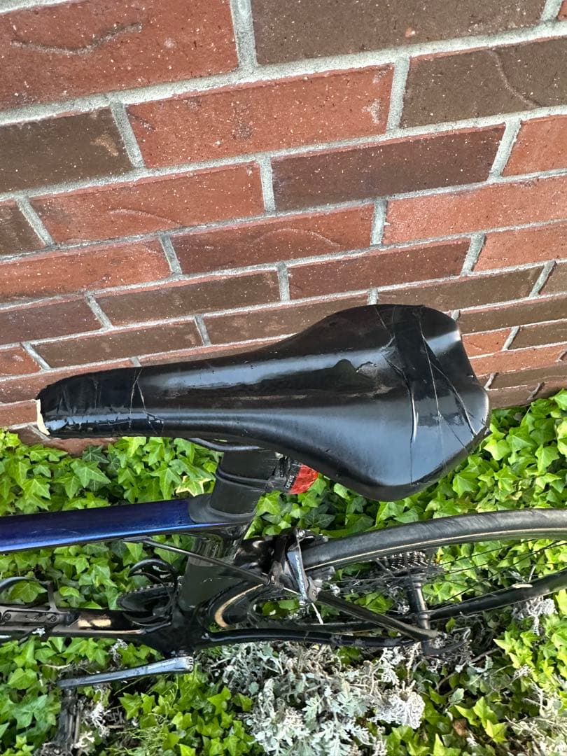 ELEVS FALATH PRO ファラスプロ　完成車