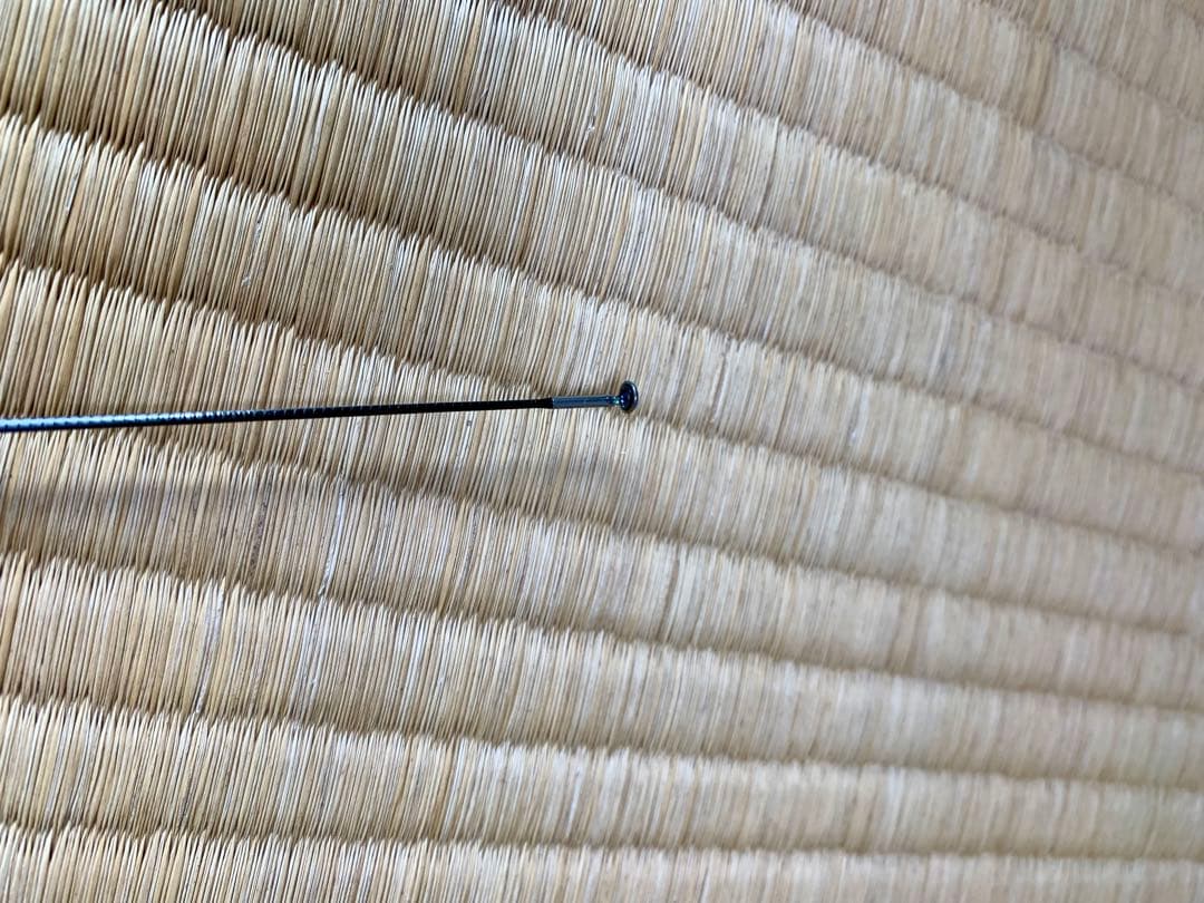 エバーグリーン　ソルティーセンセーションスペリオルSPRS77M-Tリライアンス