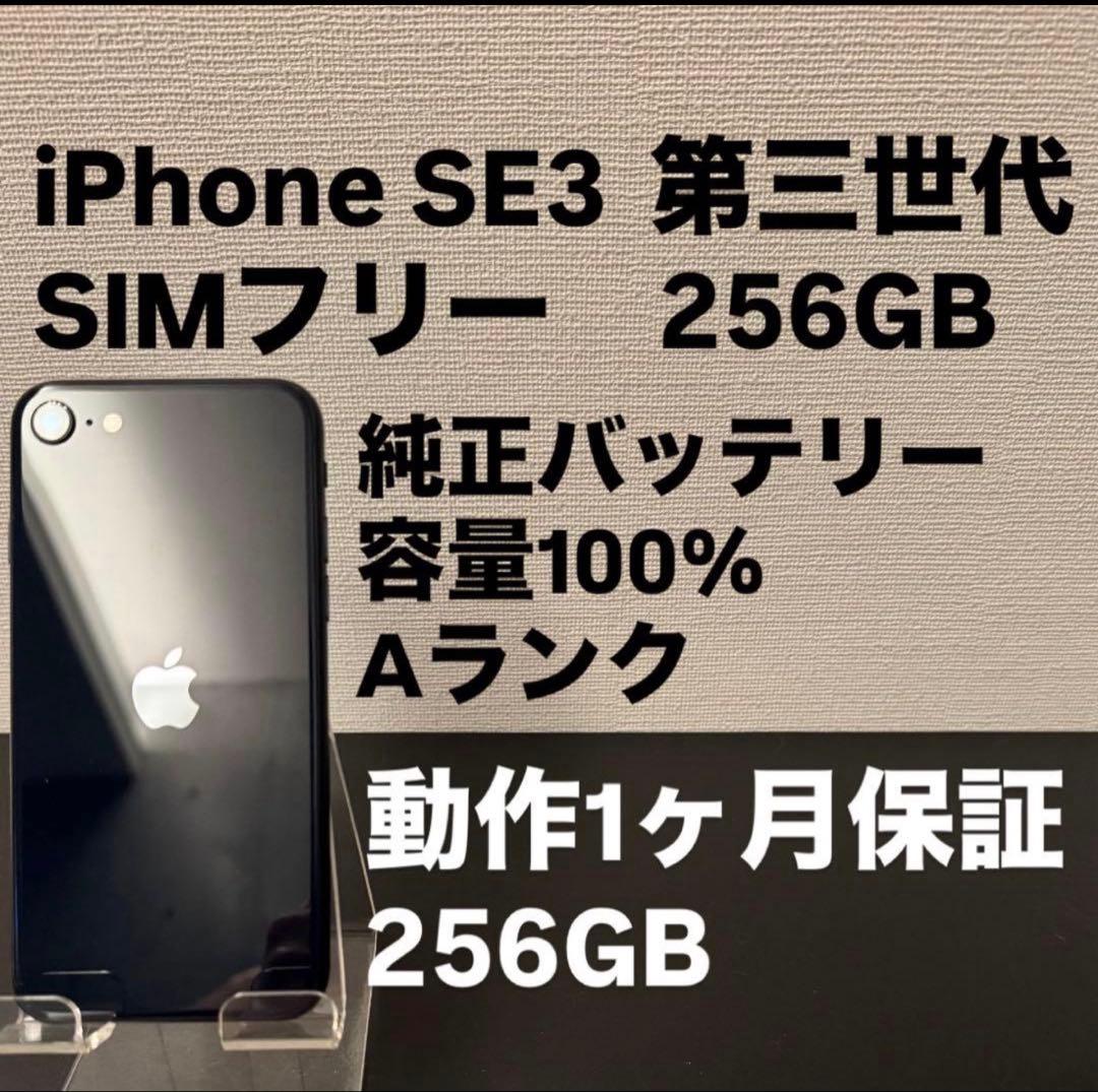極美品 256GB Apple iPhone SE3 第三世代 日本版