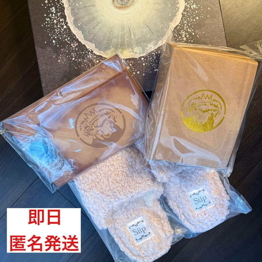 【りあ】Siipガイア 完全生産限定版 (グッズ、外箱)