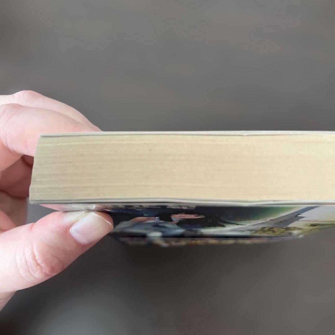 チョウたちの時間