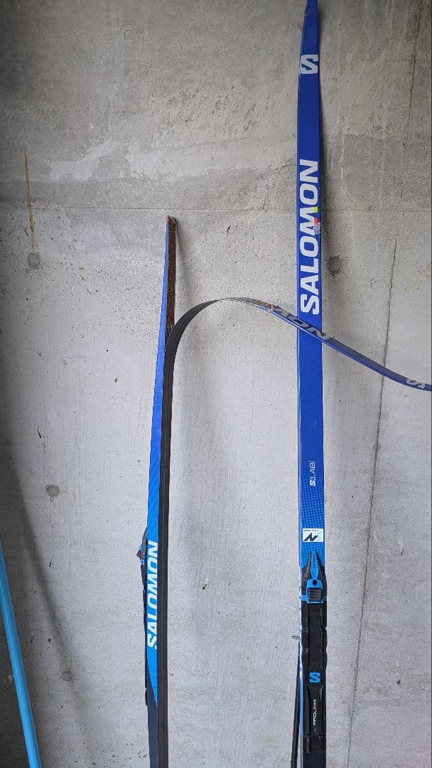 サロモン クロスカントリースキー　クラシカル用　196センチ