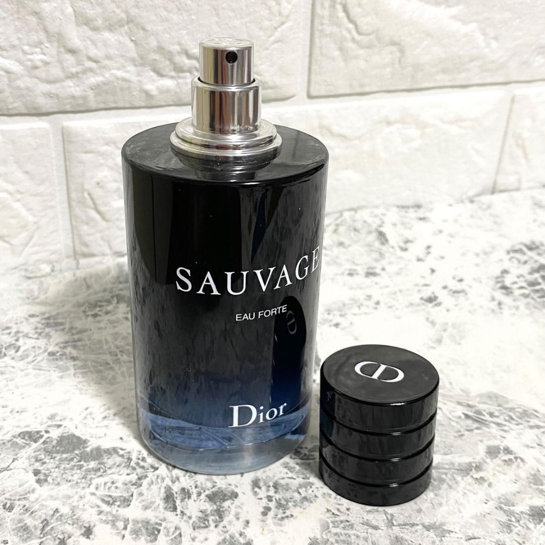 ディオール ソヴァージュ オー フォルト パルファン 100ml