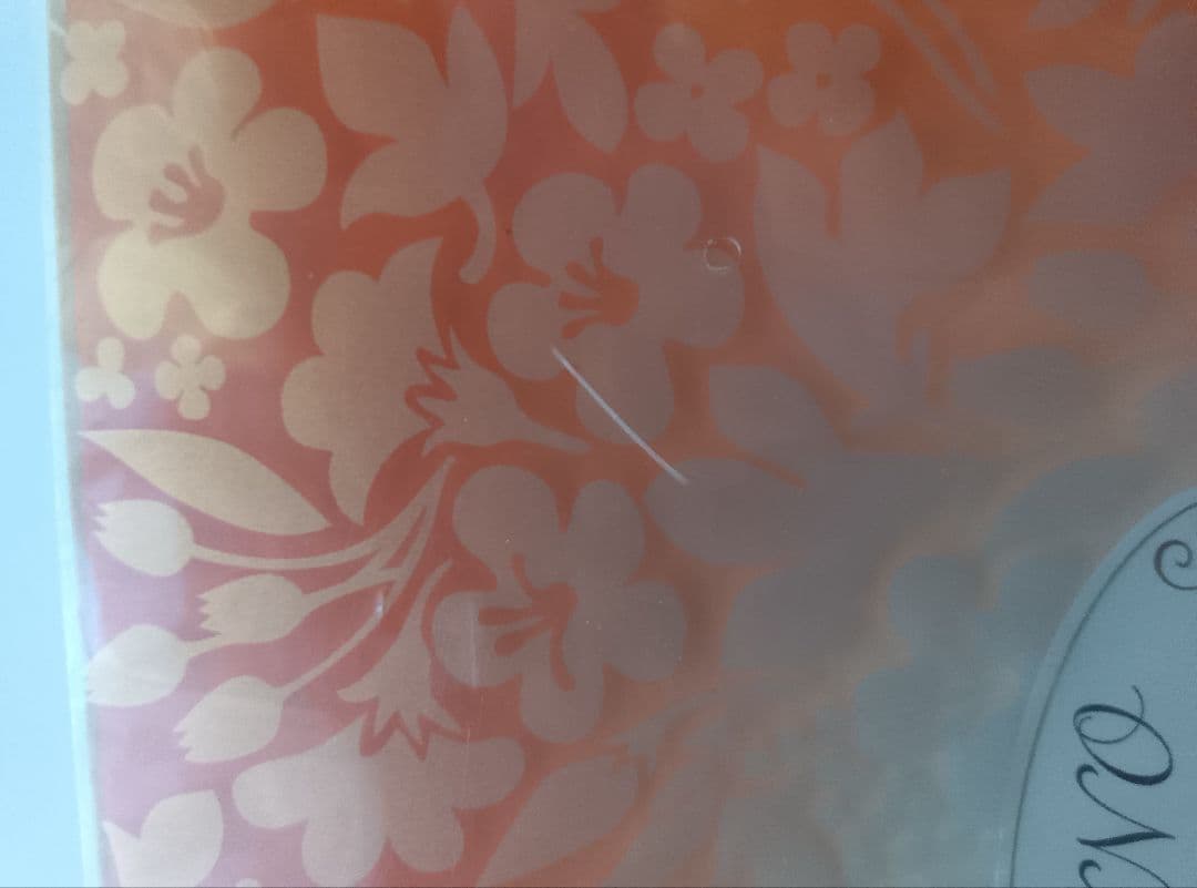 ミュージック Yoko Minamino 20th Anniversary DVD Box