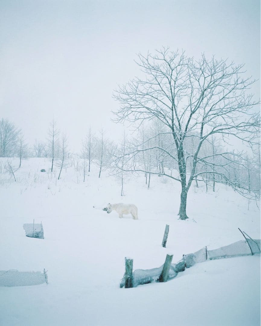 フィルムカメラ PENTAX SMC TAKUMAR 6x7 105mm F2.4