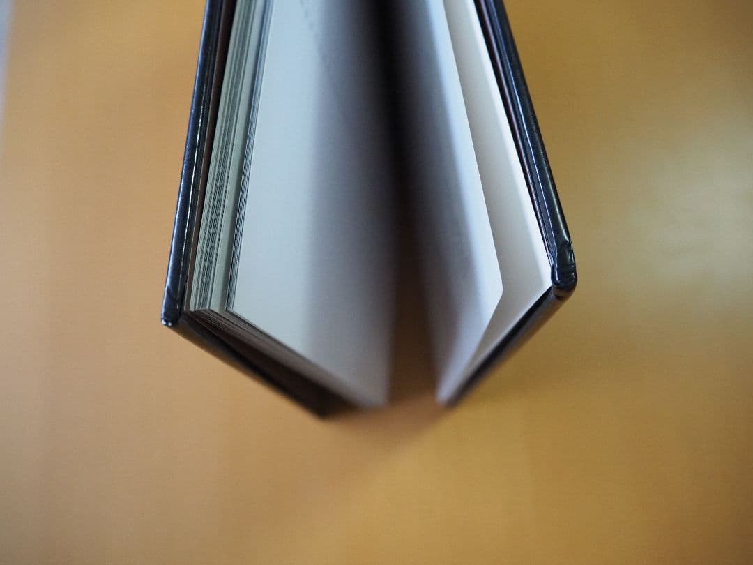 洋書 FROM PADS TO PALETTE / ERNIE BARNES