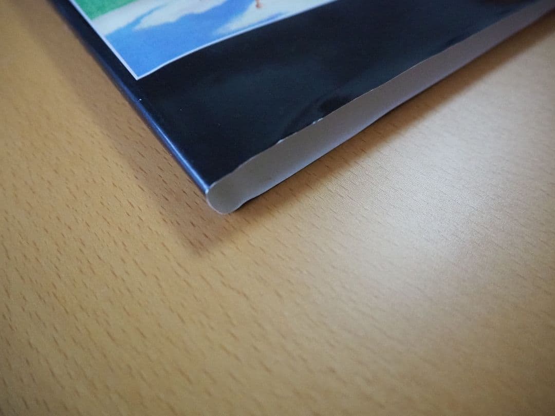 洋書 FROM PADS TO PALETTE / ERNIE BARNES