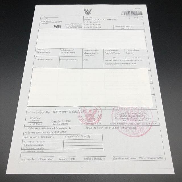 フォロー割適用　本物クロコ・一枚革　シャム　クロコダイル　長財布　PPG8