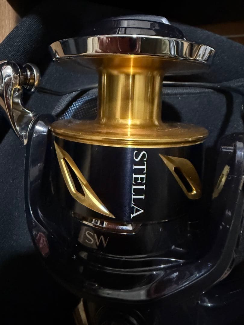 おまけ付き　19ステラSW 14000XG リール STELLA シマノ