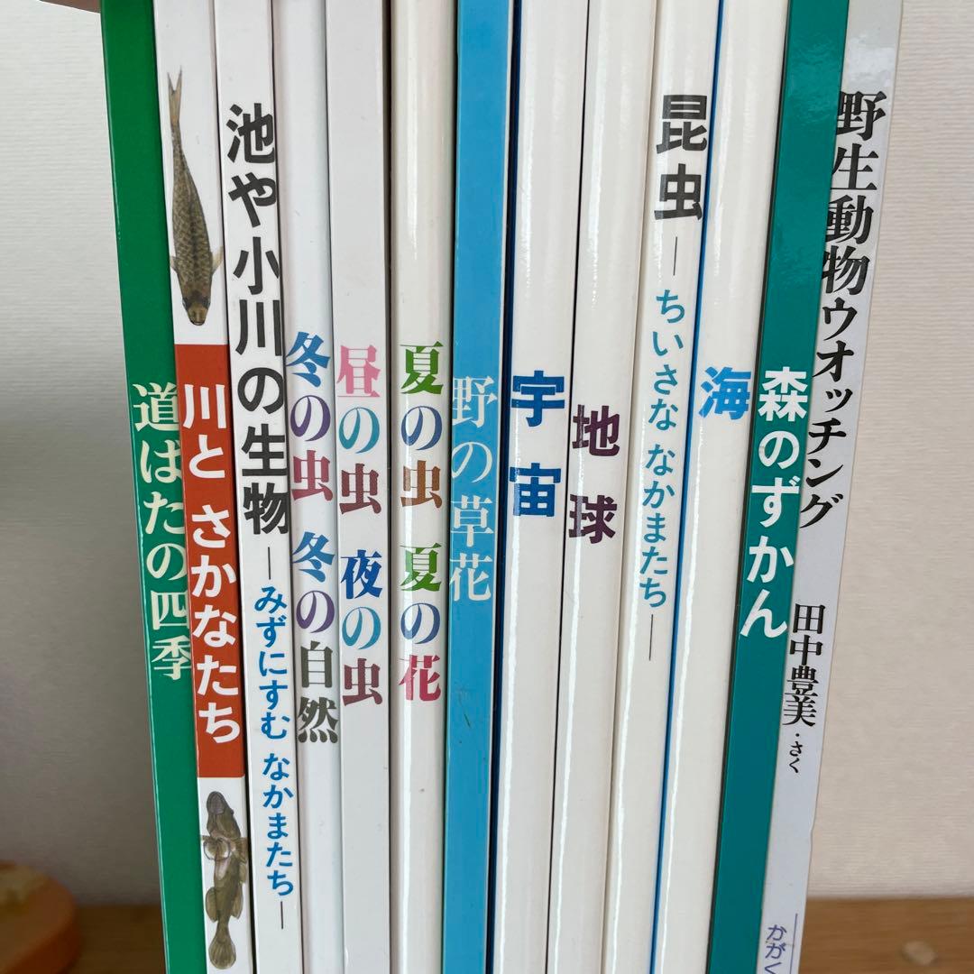 夏の虫 夏の花 645種の身近な生きものの世界