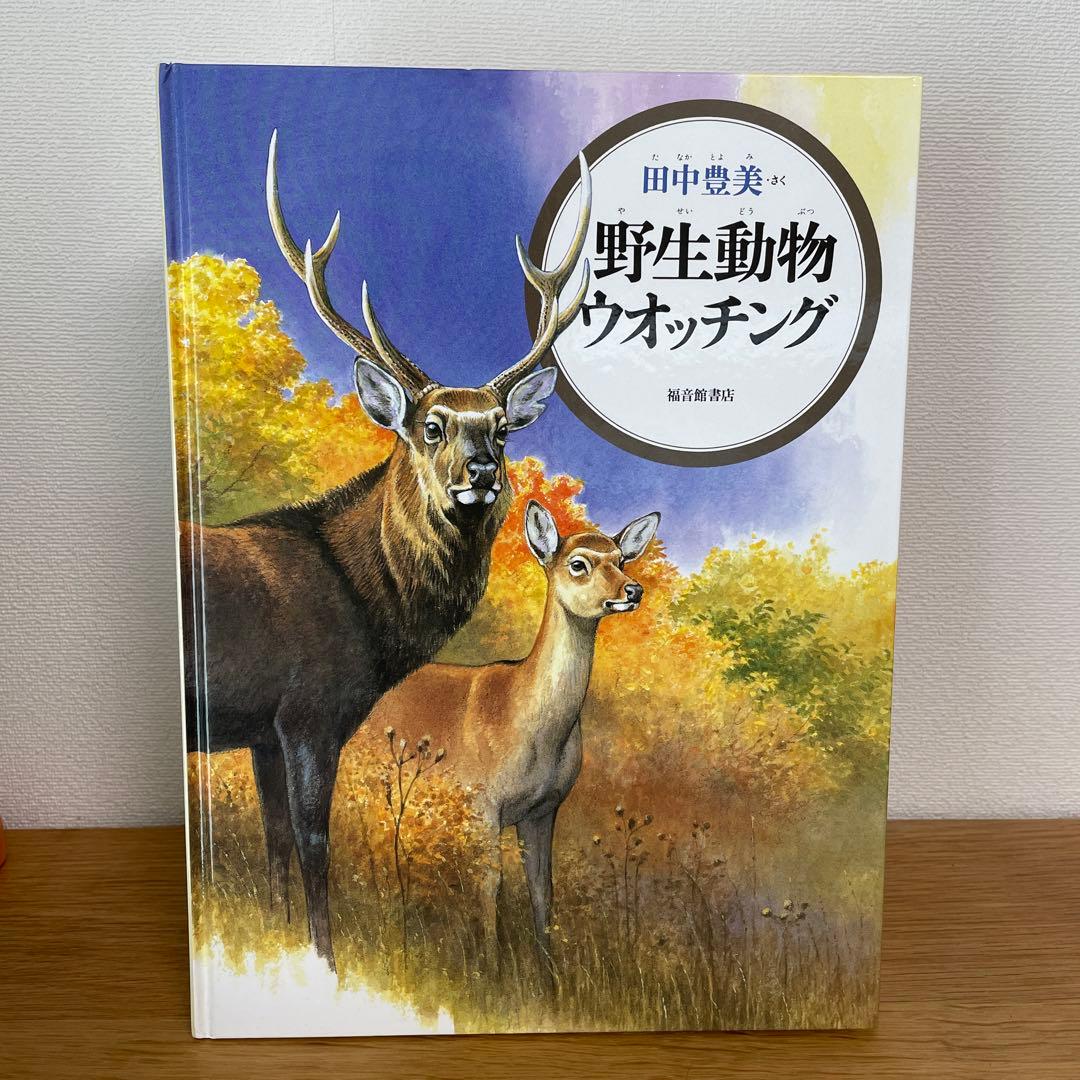 夏の虫 夏の花 645種の身近な生きものの世界
