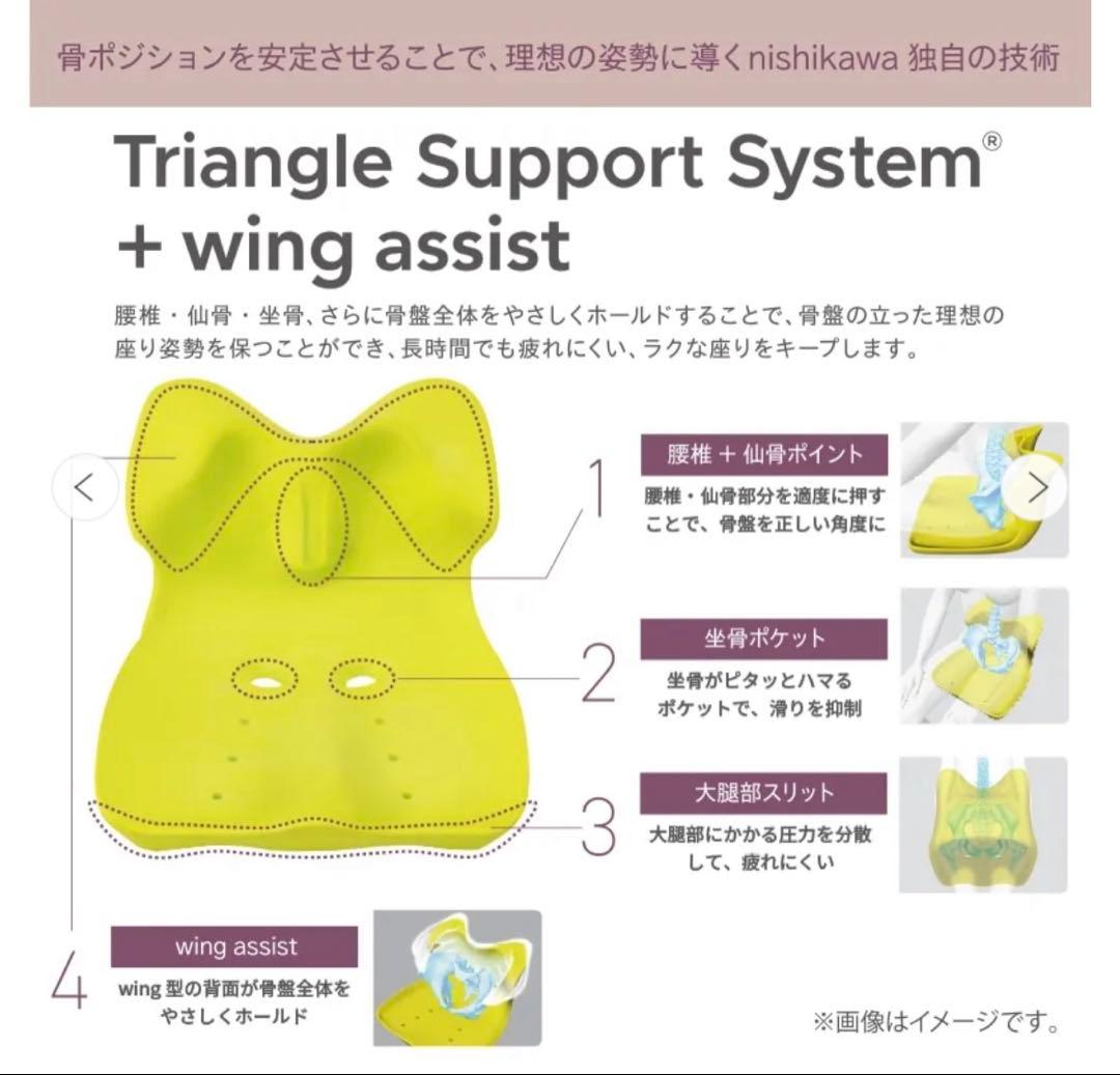 新品未開封　西川　キープス　keeps 姿勢矯正　猫背　ヨガ　クッション　在宅