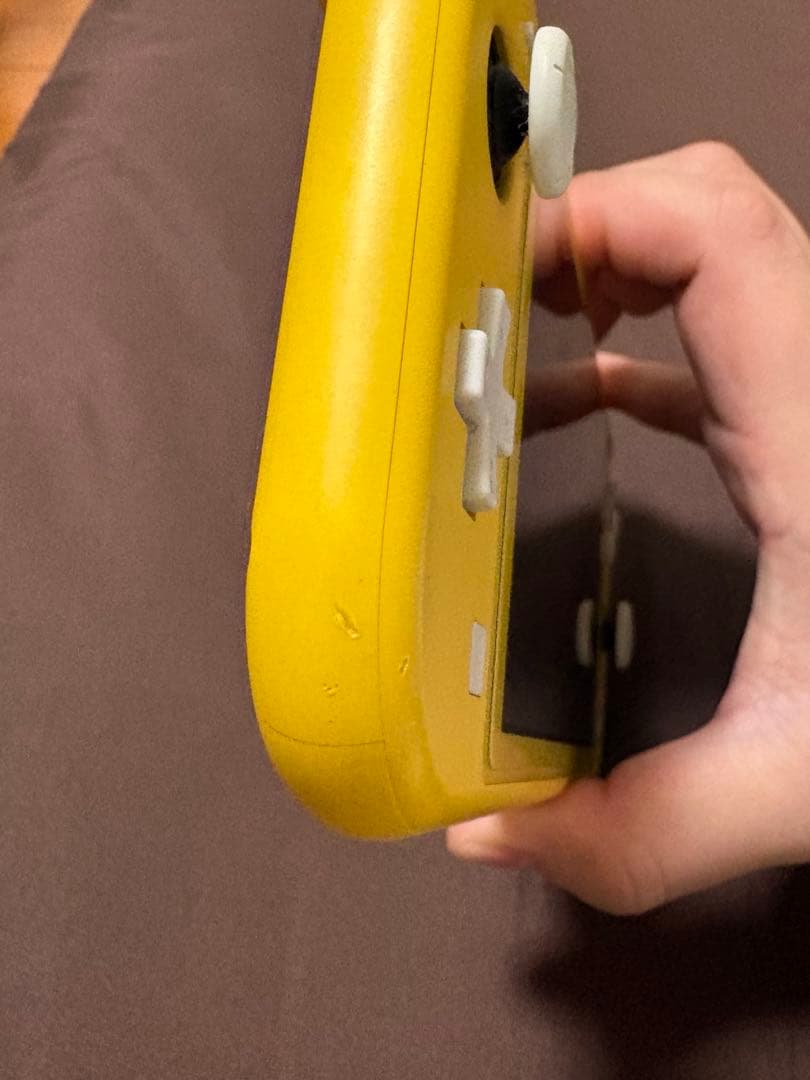 switch LITE 本体　箱　充電器付き